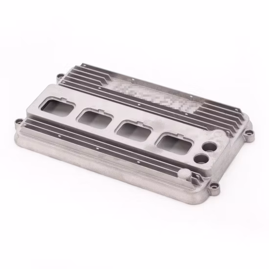 Caja de marcha atrás de motocicleta de aluminio fundido de servicio OEM ODM